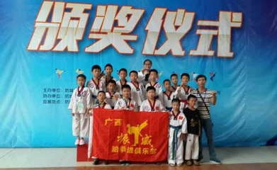 振奋人心,声威名扬 记恭城振威跆拳道馆参赛 农产品网, -新农网新闻在线