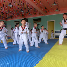 义乌市尚扬跆拳道馆