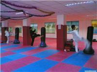 找上海跆拳道/散打/太极拳-上海瑜伽/肚皮舞的上海跆拳道馆价格、图片、详情,上一比多_一比多产品库