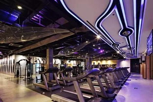 小小跆拳道,玩转星泓七彩周末