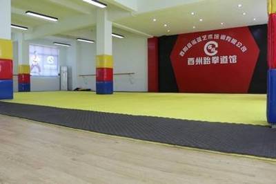 酉州跆拳道2019年暑假军事跆拳道火热报名中