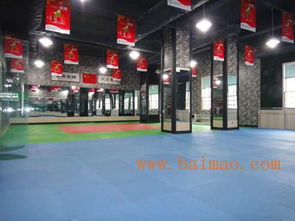 兰州雁滩少儿跆拳道培训馆,兰州跆拳道, 兰州跆拳道馆,兰州跆拳道培训,兰州跆拳道培训馆,兰州雁滩少儿跆拳道培训馆,兰州跆拳道, 兰州跆拳道馆,兰州跆拳道培训,兰州跆拳道培训馆生产厂家