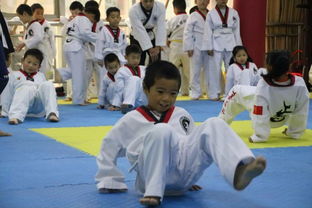 图 光谷跆拳道馆 武汉文体培训