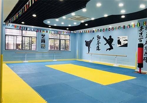 黄金跆拳道馆加盟 加盟费 招商代理条件 加盟电话 中教招商网