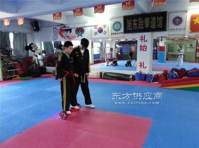 威海漂移车,漂移车招商,山东鹘鹰智能价格