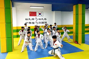 周口黑带武英跆拳道馆又搞事情 88元秒杀精品课程一个月,再送跆拳道服......
