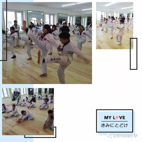 五年三班 强身健体 跆拳风范 走进天鸿跆拳道馆