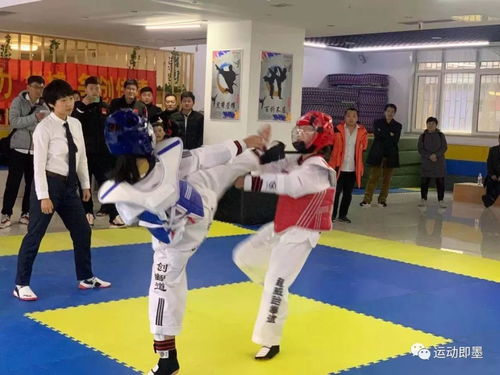 300余名选手决战即墨道馆 2019年即墨区中小学生运动会跆拳道比赛圆满结束