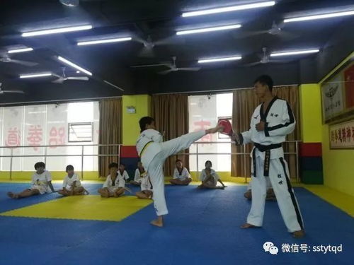 白沙馆 素质教育跆拳道