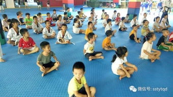 琼海馆 跆拳道用品的踢靶