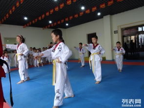 图 凤天精品跆拳道教育免费预约试训 成都文体培训