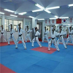 桦甸跆拳道馆