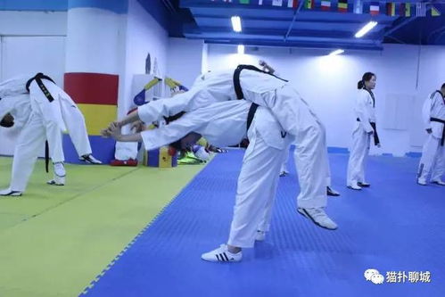 聊城跆拳道业内脊梁 新国际跆拳道馆 壕送免费体验课程 5.28日荣誉2周年庆,全国冠军 世界冠军将空降聊城