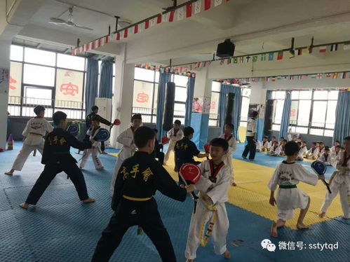 定安馆 跆拳道,赋予孩子的四大财富