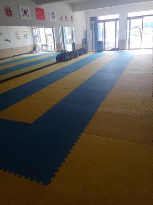 广宗县品道跆拳道暑假班火热报名中!