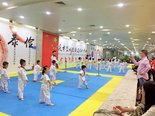 重庆专业韩式跆拳道馆