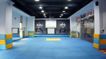 多家媒体报道采访,厚街跆拳道第一品牌原来在这里,一起感受最专业的跆拳道