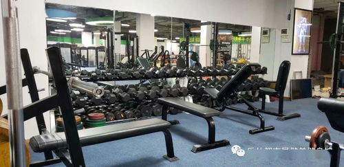 都市星健身 跆拳道馆 试营业期 健身 跆拳道卡火热抢购中.. 乐泰居店