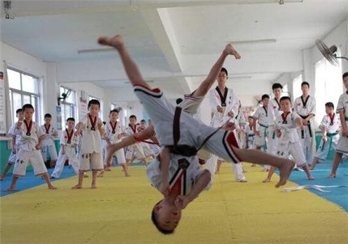 黄金跆拳道馆加盟 加盟费 招商代理条件 加盟电话 中教招商网