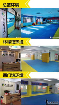 恭喜鹏山跆拳道馆 接受汕尾电视台的现场采访