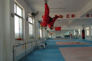 冬练三九 夏练三伏 黄金跆拳道馆