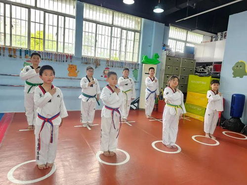 回音壁 | 想学武术？看这里 跆拳道馆入门指南