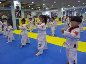 育仁跆拳道 郑州精选跆拳道馆，塑造健康体魄与坚韧品格