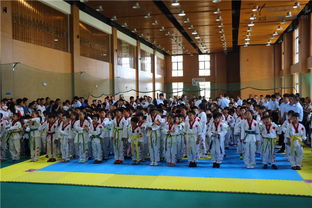 【精彩回顾】新武道跆拳道2017品势馆校赛暨首届快腿王大赛图片精选