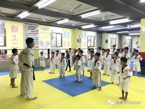 陵水馆跆拳道赛记 以道为阶，锻造更优秀的自己