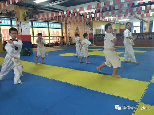 儋州馆 跆拳道是一种责任和态度