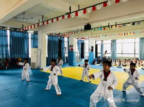 定安馆 一个人的跆拳道