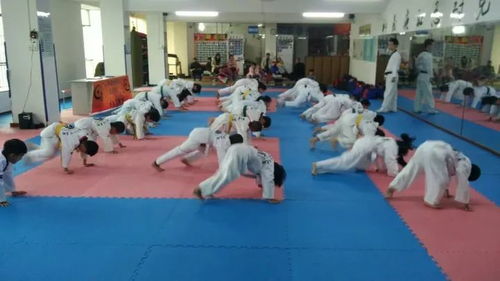 柏塘跆拳道馆588元暑假班末班车，报课即送250元服装