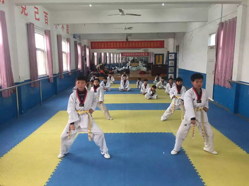 喜讯频传，热烈祝贺崇文跆拳道馆学员成功晋级！