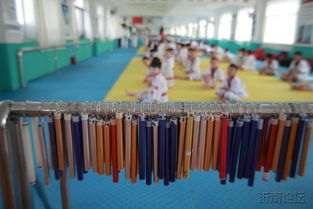 黄金跆拳道馆 镜头下的力量与优雅