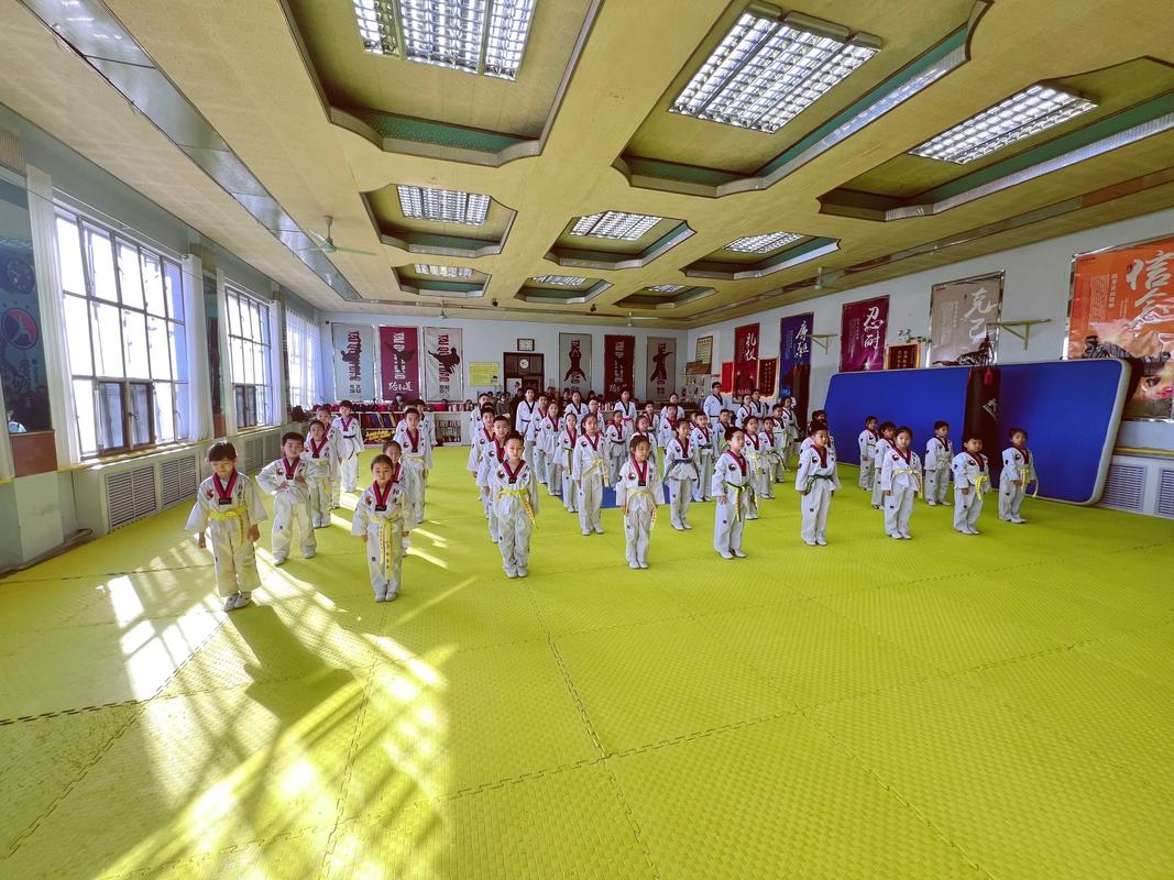 阳光跆拳道2025年考级圆满成功 汗水与荣耀交织的跆拳道馆现场